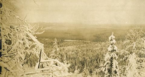 View of snow covered trees and mountains, dated November 1910.